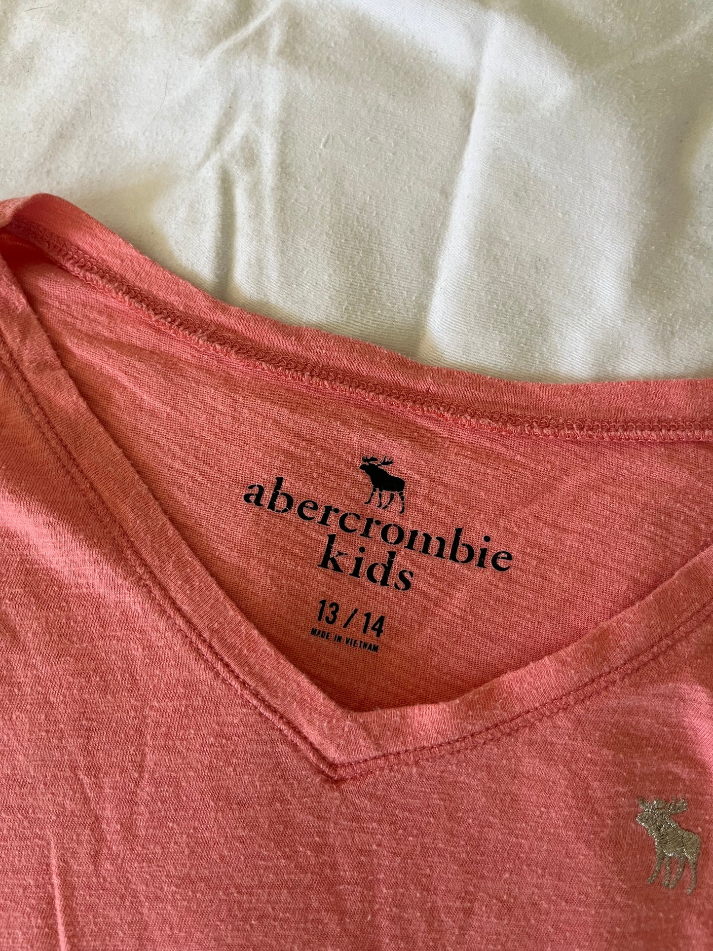 abercrombie and fitch v neck - S